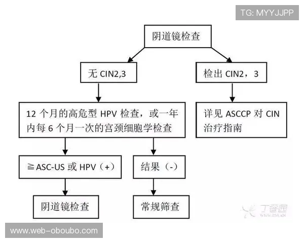 欧博注册开户流程图详细步骤指南帮助新手快速完成账号注册